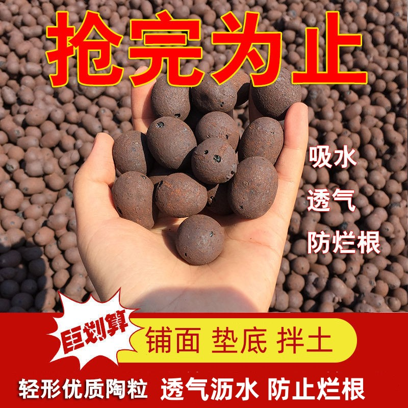 陶粒养花用垫底透气陶土粒球园艺陶粒多肉大园艺花卉水培花盆铺面