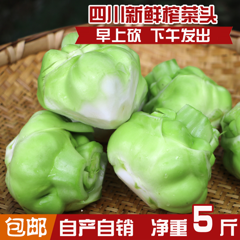 正宗四川特产 榨菜头农家新鲜青菜头菱角菜芥菜 羊角菜 5斤装包邮
