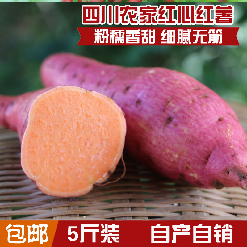四川特产 新鲜红薯 红皮黄心地瓜 5斤装包邮 五谷杂粮番薯