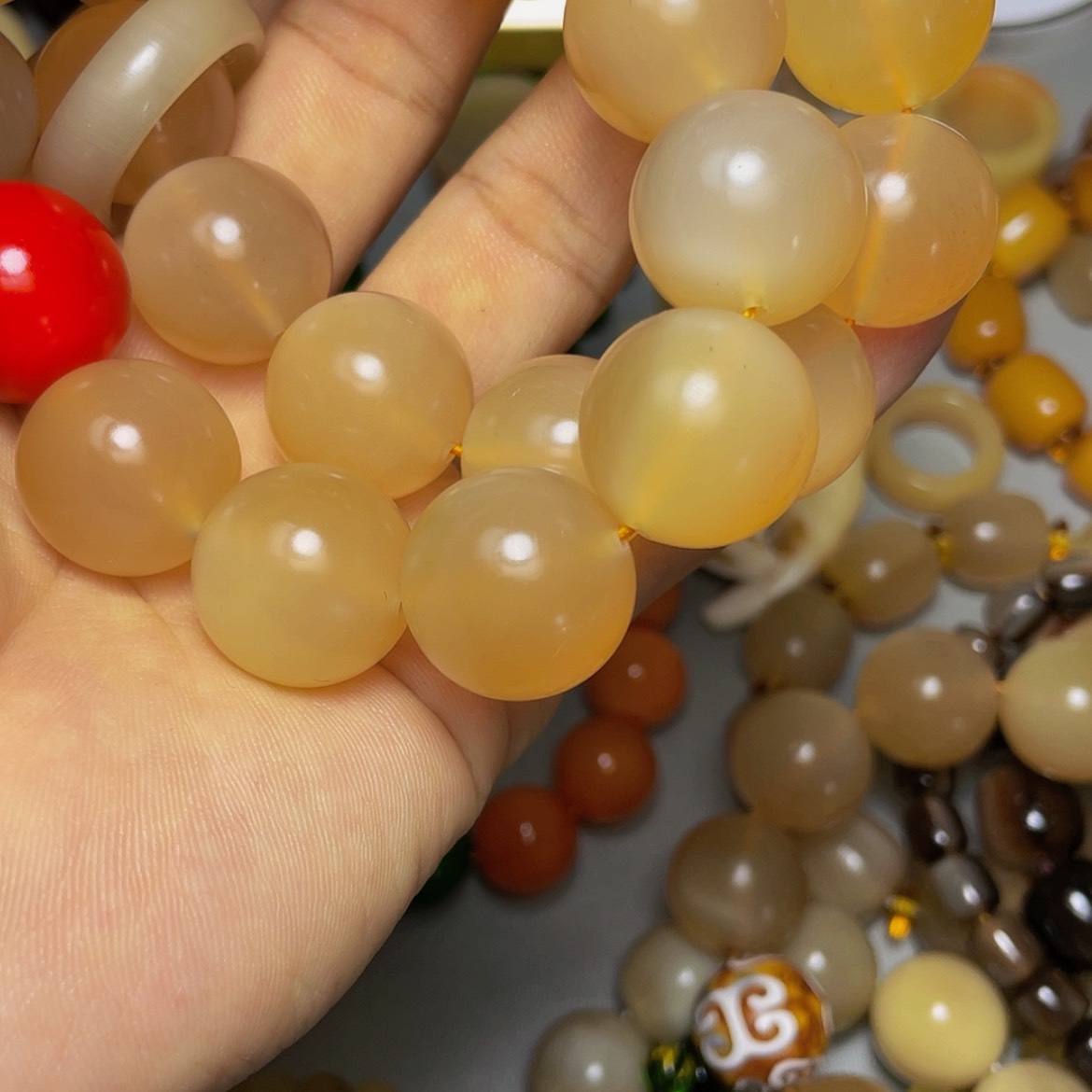 【闪购商品】红贵宝