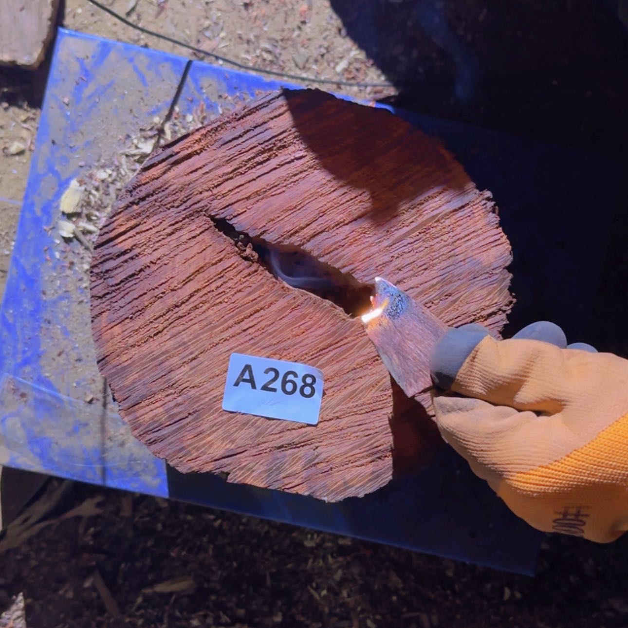 【闪购商品】檀木血檀A268