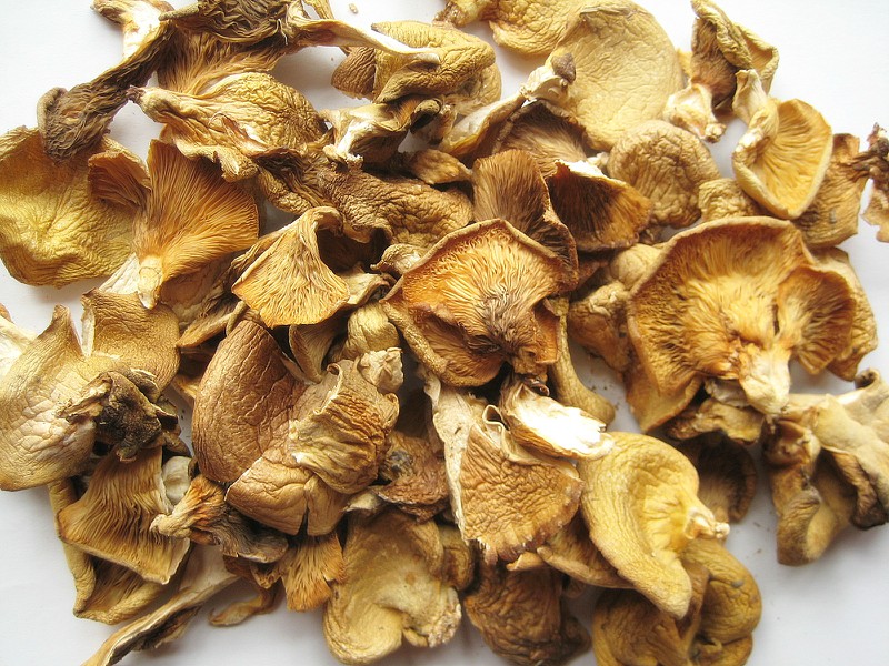 山里冻蘑250克-500克干品（元蘑）