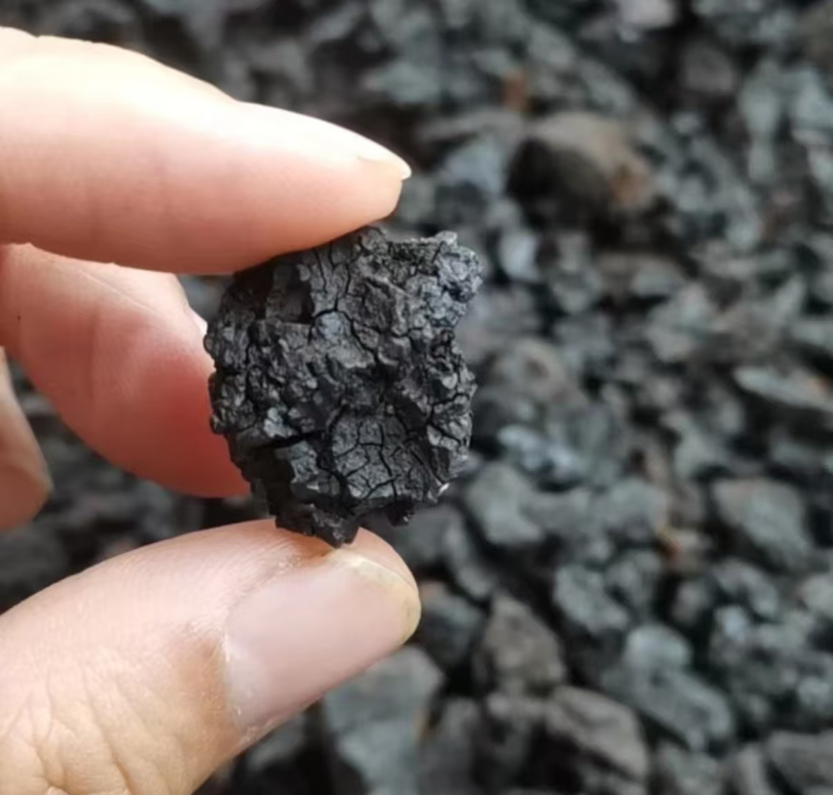 【蕾蕾专属】桦褐孔菌菇 黑精粒块每袋250克泡水 食用