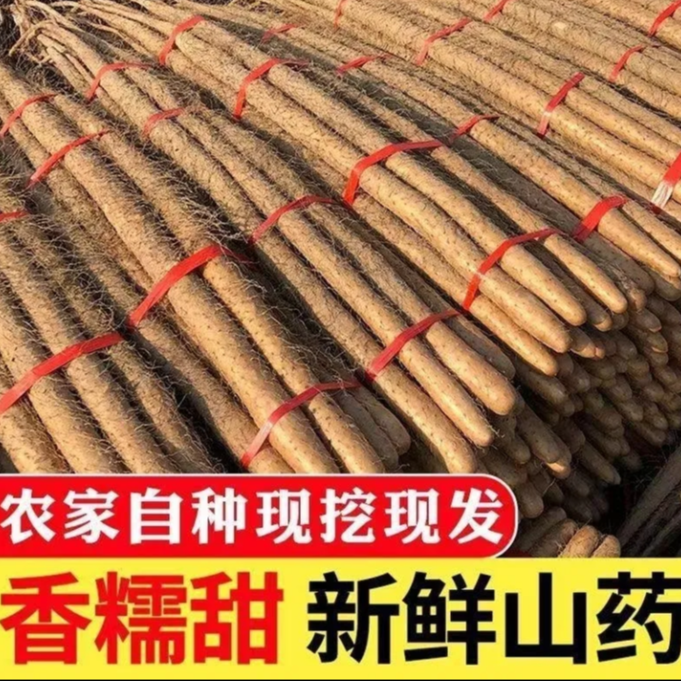 铁棍山药软糯香甜源头直发产地垆土山药优选农家60-80l厘米