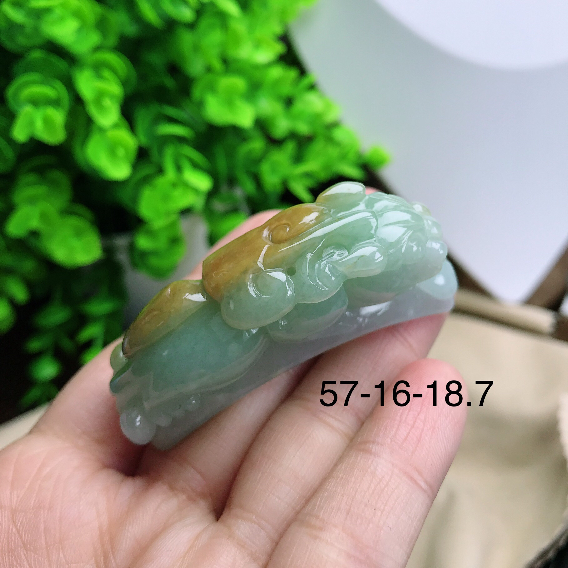 缅甸翡翠A货冰润双彩貔貅手牌