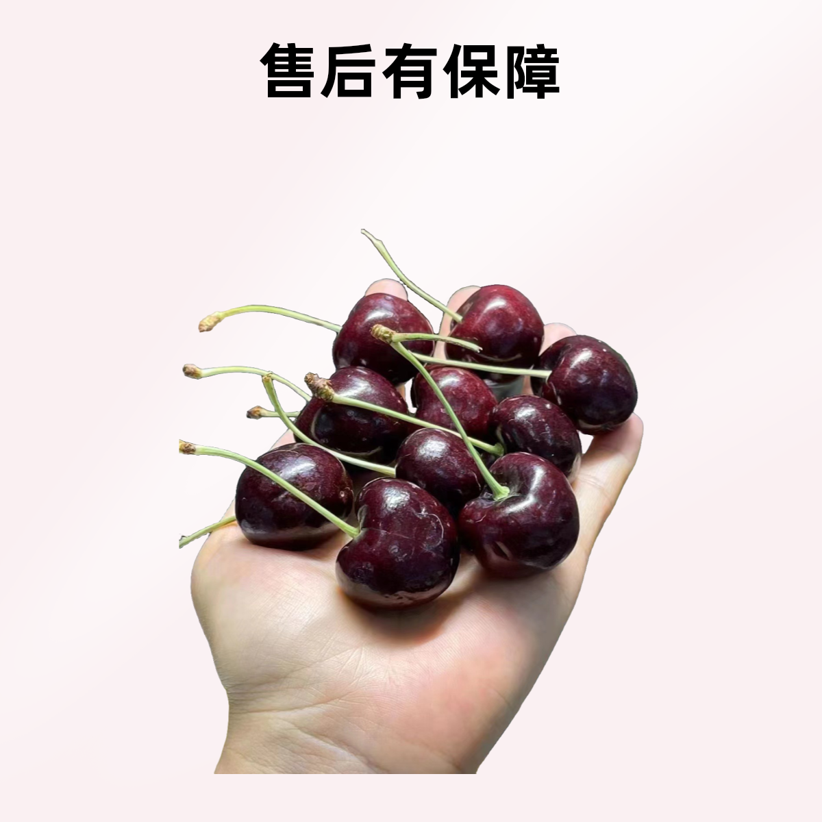 智利车厘子桑塔纳JD5斤装