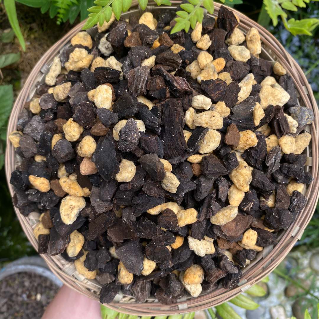 石纪【石纪】全手工调配五合一中颗粒兰花硬植料君子兰国兰蝴蝶兰