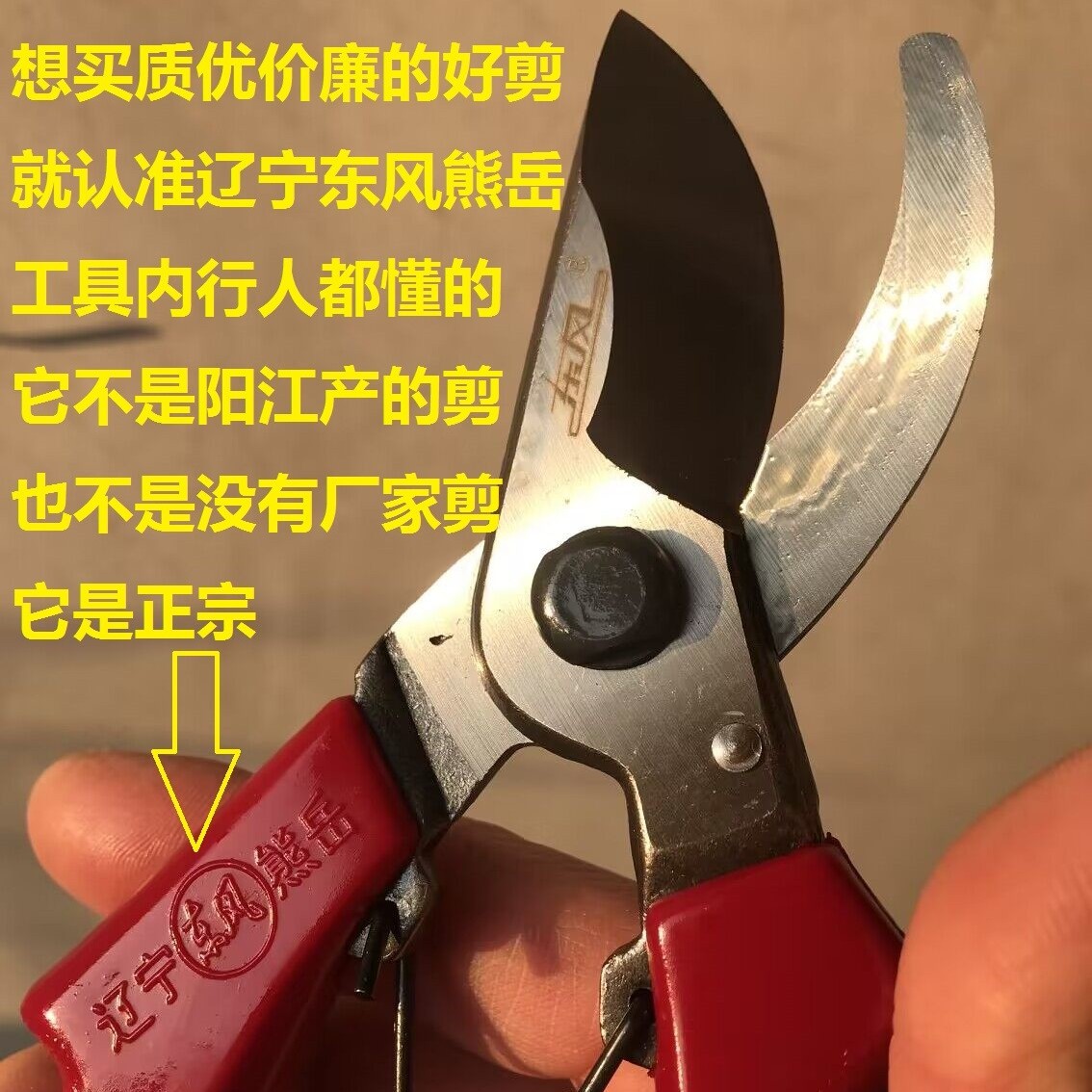 东风正宗辽宁熊岳东风修枝剪省力专用绿化树花枝果树园艺手剪