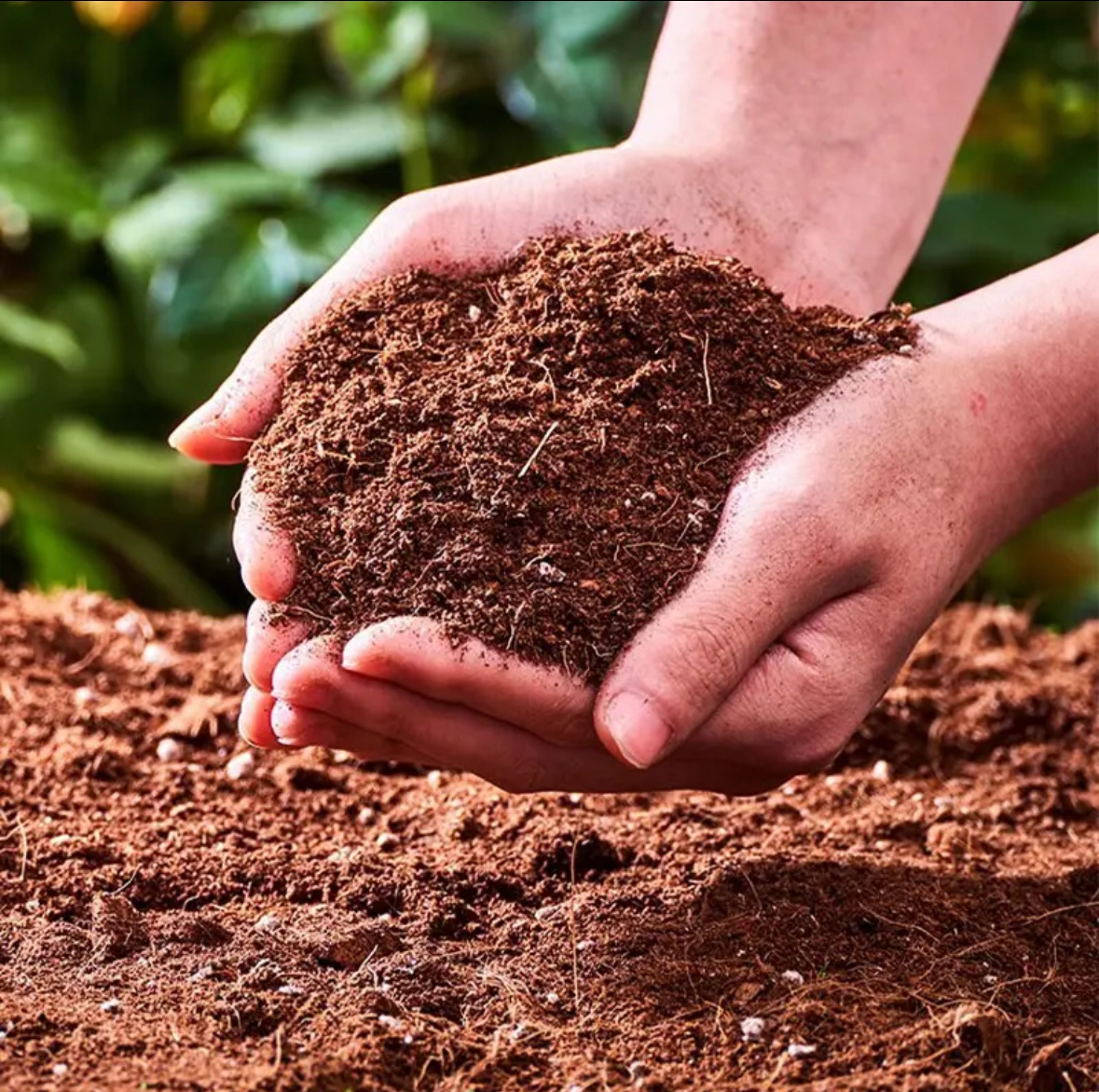 山茶花专用土营养土大型绿植花卉通用土花换盆种植土营养肥营养土