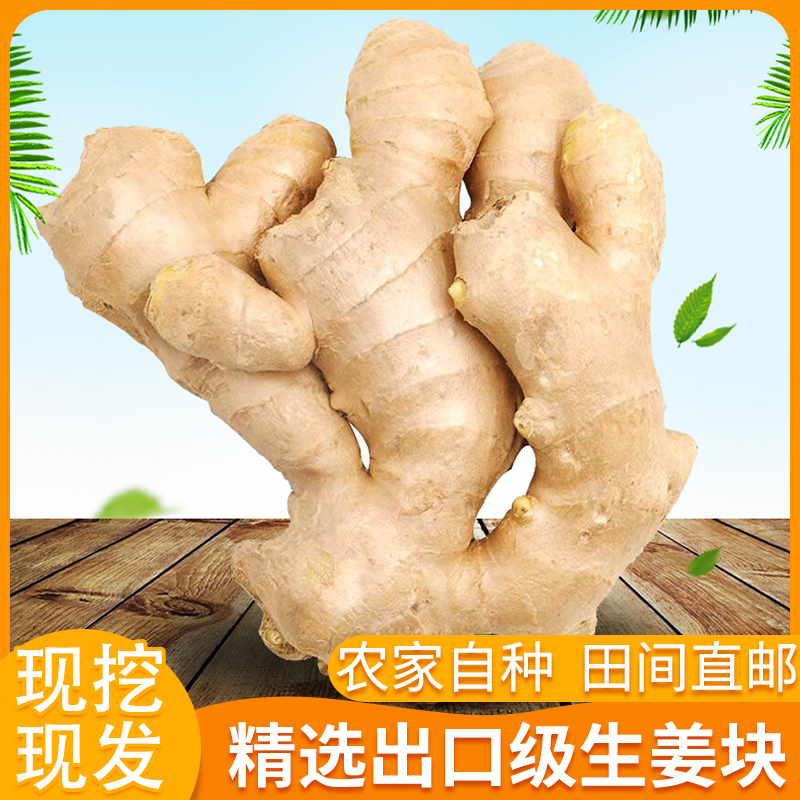 【出口品质】山东大姜生姜批发姜风干新鲜老姜干姜大黄姜1/2/3/5斤