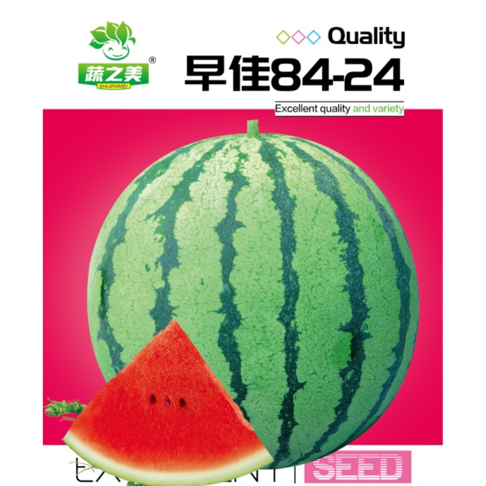 【8424西瓜种子】阳台庭院好种易熟皮薄瓤脆消暑四季抗病