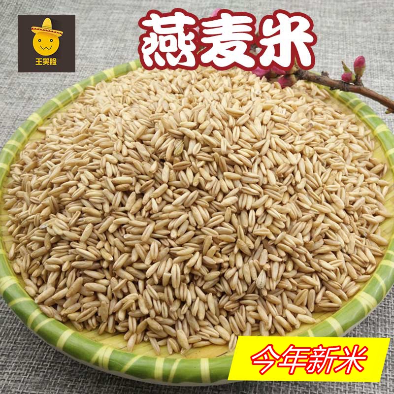 东北燕麦米3斤装2025年长粒五谷杂粮燕麦米仁新米米粥饭
