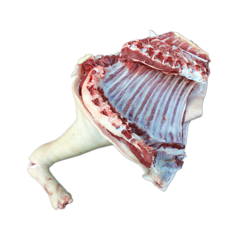 5斤新鲜前腿带排  前腿带排 山羊前腿带排 山羊肉 带皮鲜羊前腿肉