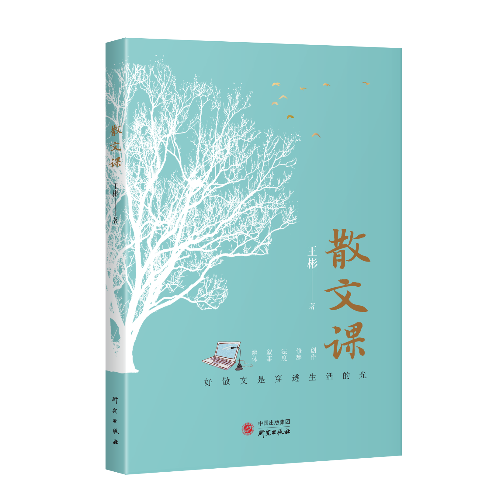 《散文课》写给学生的散文写作宝典创意写作的工具书当代文学书籍
