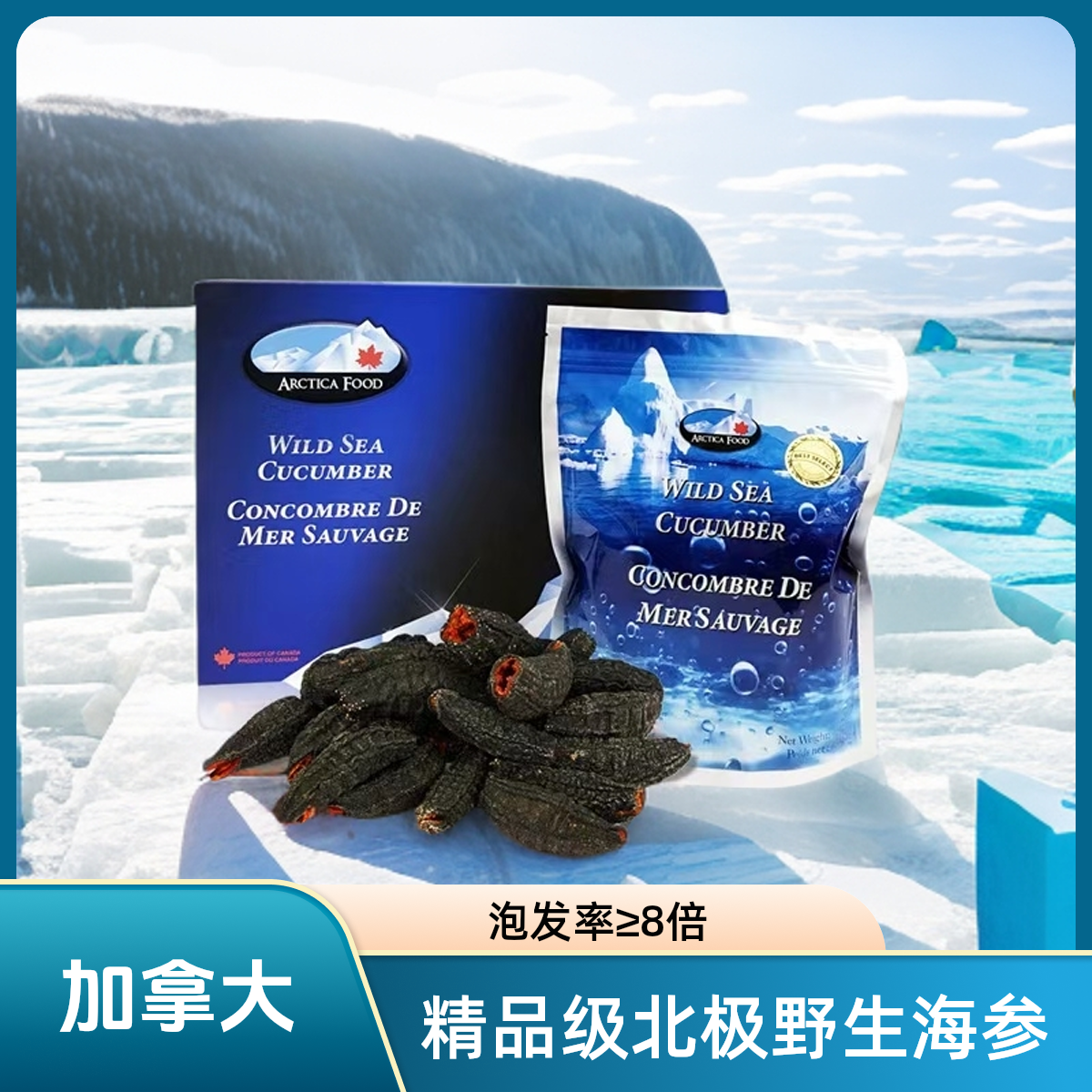 加拿大进口北极野生淡干海参干货 精品级 9-10头  227g