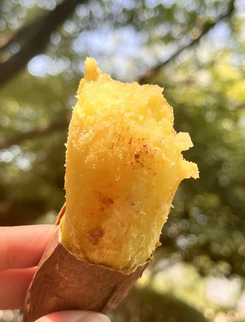 【表妹山货】榴莲正宗蜜薯红薯糖心番薯沙地香甜黄金薄口新鲜黄心
