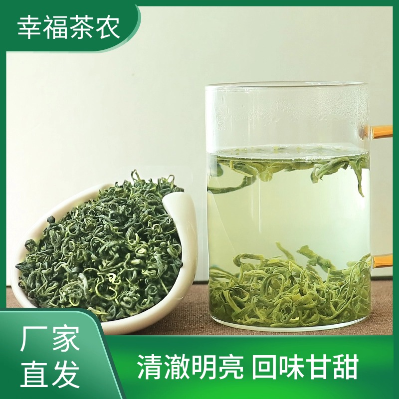 浓香型板栗香口粮茶 贵州毛峰雨前品质口粮好茶鲜香