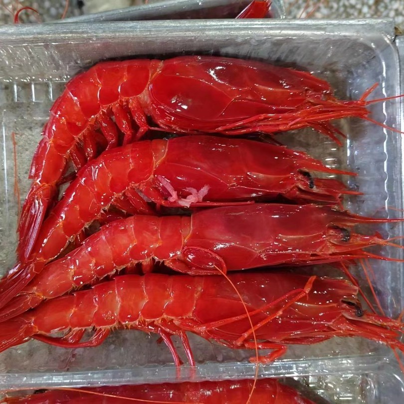 深海红魔虾胭脂虾超低温400克一盒