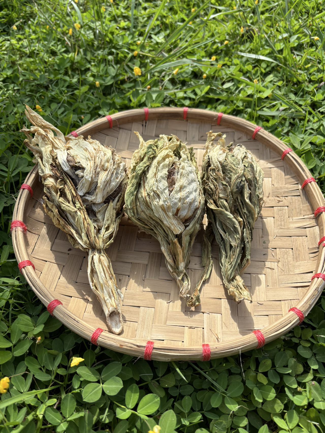 【娜娜推荐】现收土特产-天-山-雪莲--食用农产品