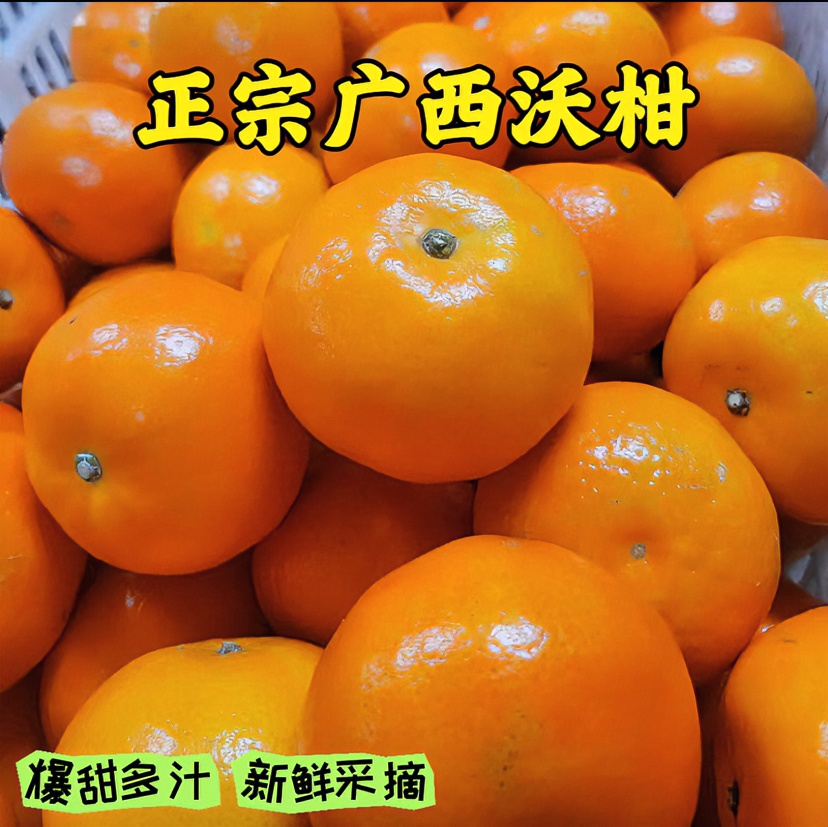 【广西沃柑】正宗武鸣超甜水果树上成熟新鲜爽口香甜皮薄多汁现采摘