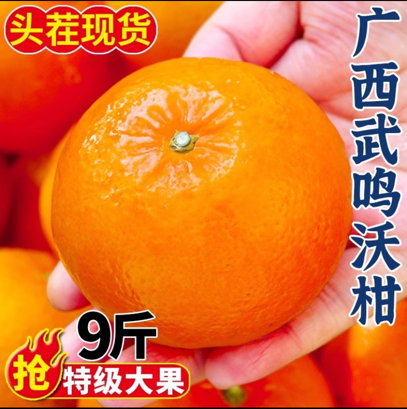 当季武鸣沃柑广西水果皮薄多汁新鲜采摘营养天然酸甜清甜成熟香甜