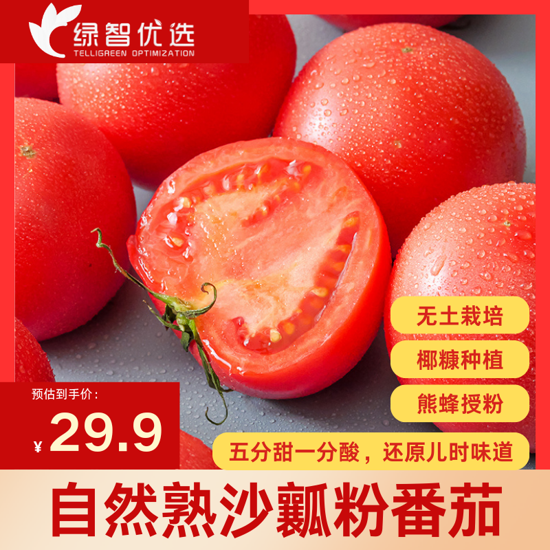 【沙瓤番茄】新鲜现摘番茄酸甜西红柿可生食蔬菜包邮自然熟无激素