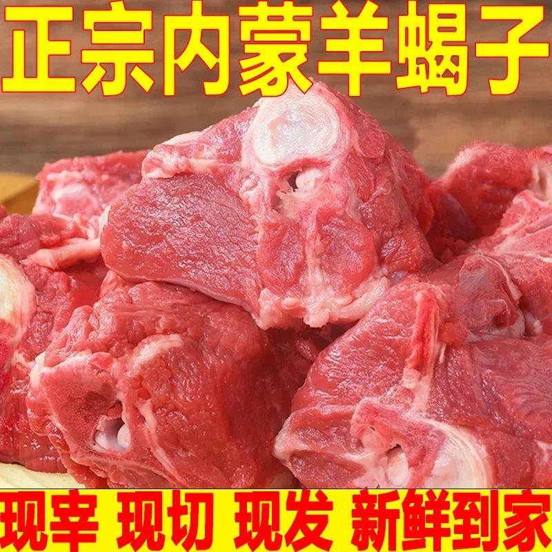 【多肉羊蝎子】内蒙古原切新鲜羊脖骨羊脊骨羊骨头生羊肉草原散养