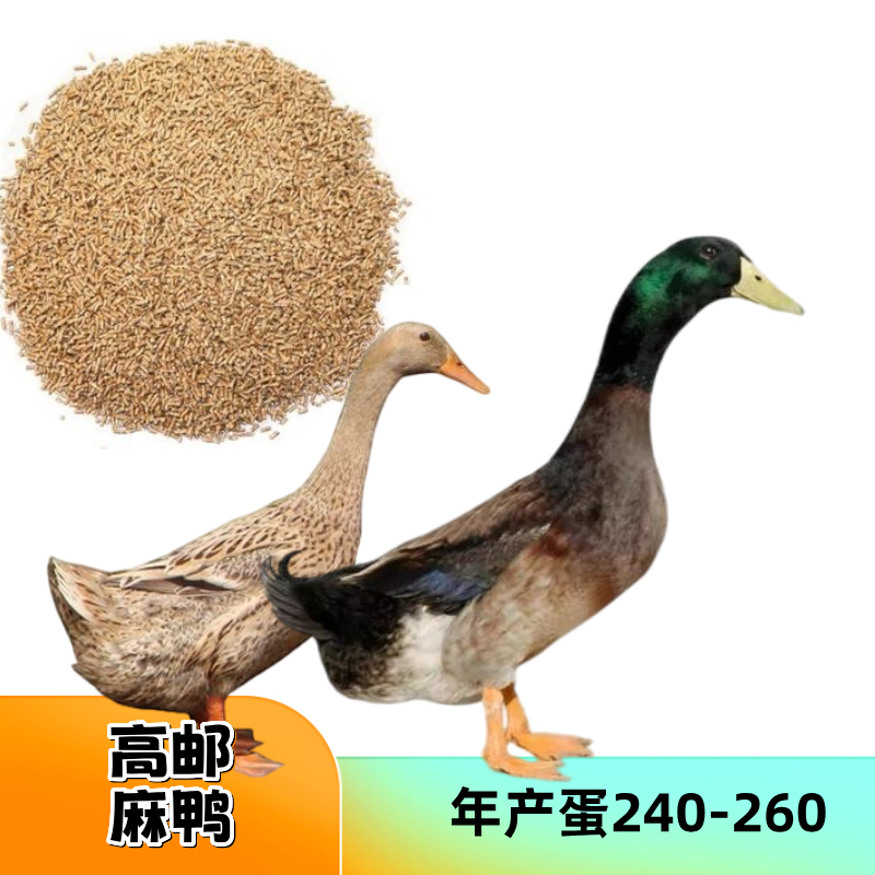 高邮麻鸭双黄蛋鸭肉质好吃顺丰包邮