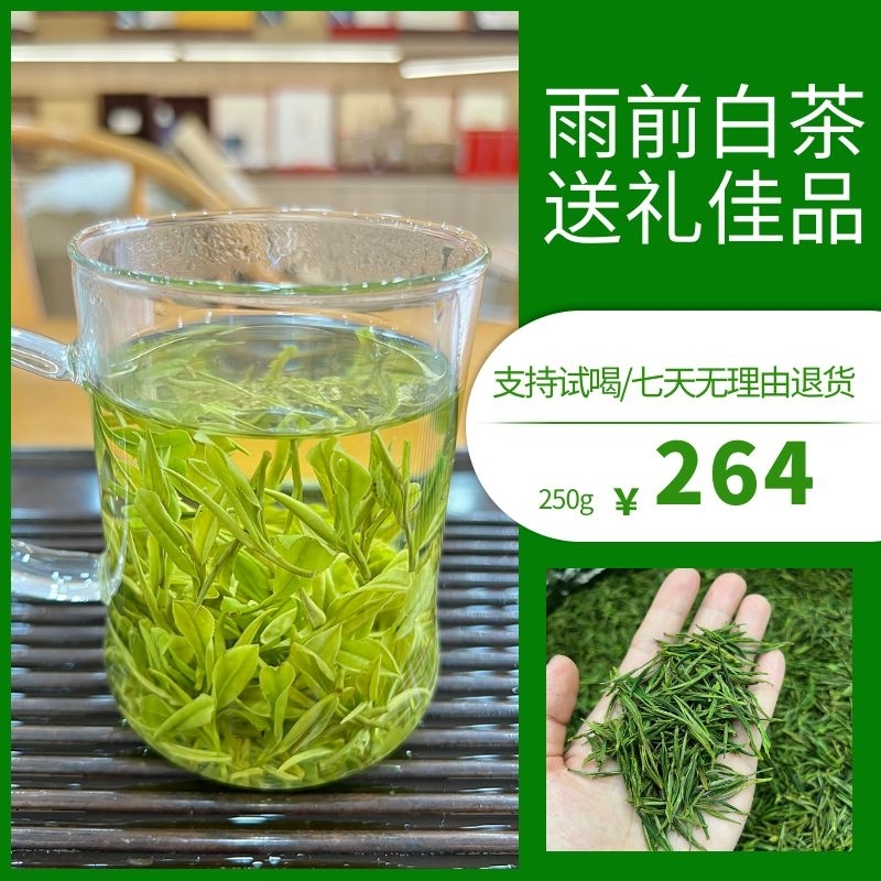 原产地雨前白茶250g-500g