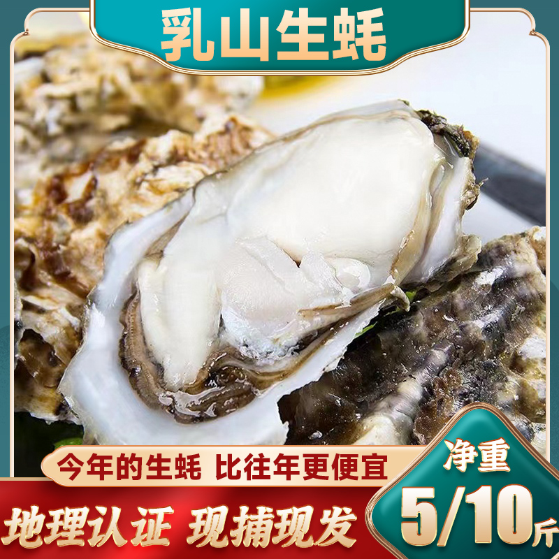 【小美姐专享】正宗乳山生蚝牡蛎 净重五斤装 原产地发货现捞现发