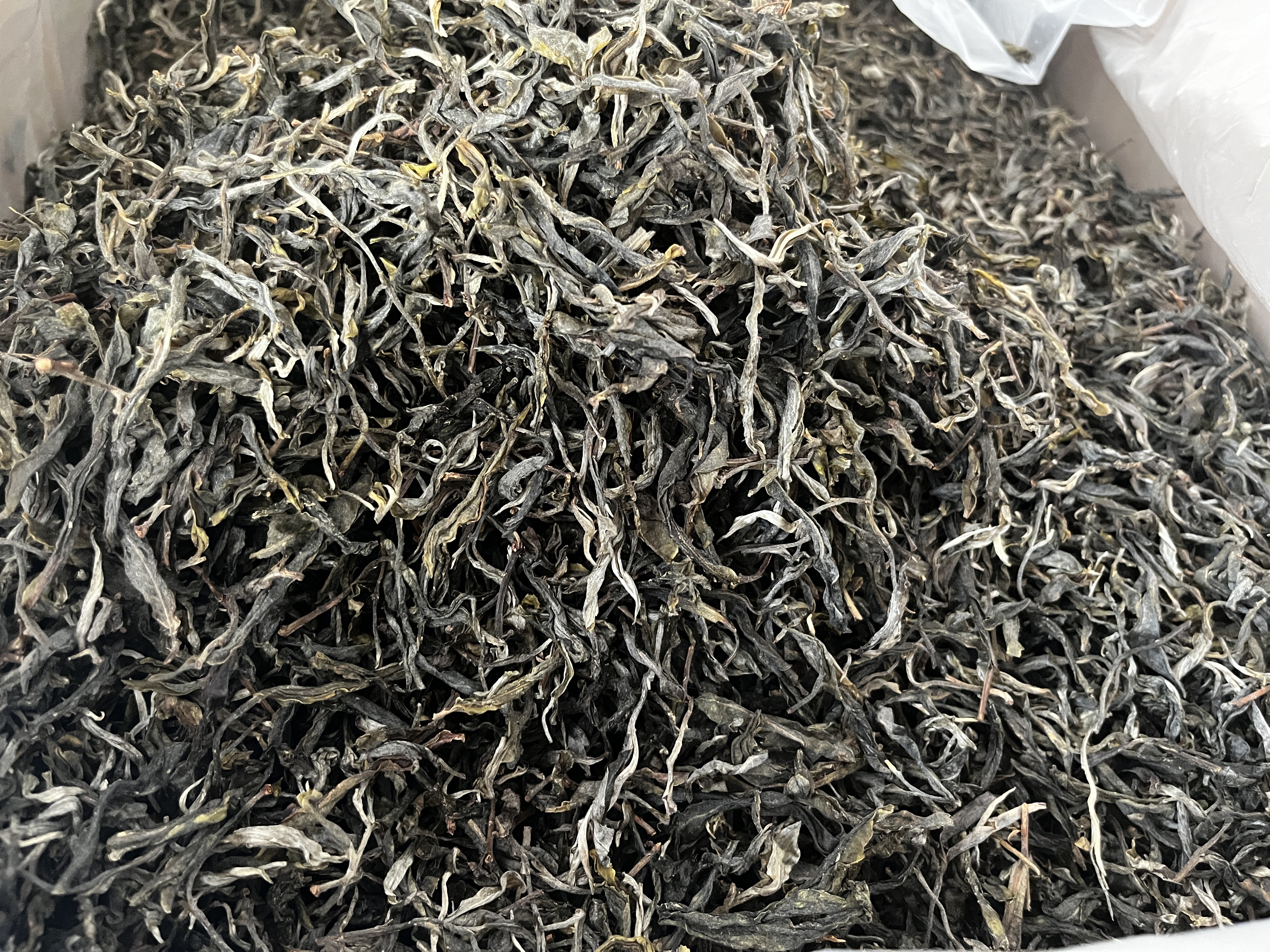 2025年冰岛产区小冰岛古树  250克袋装  生茶 7/10 