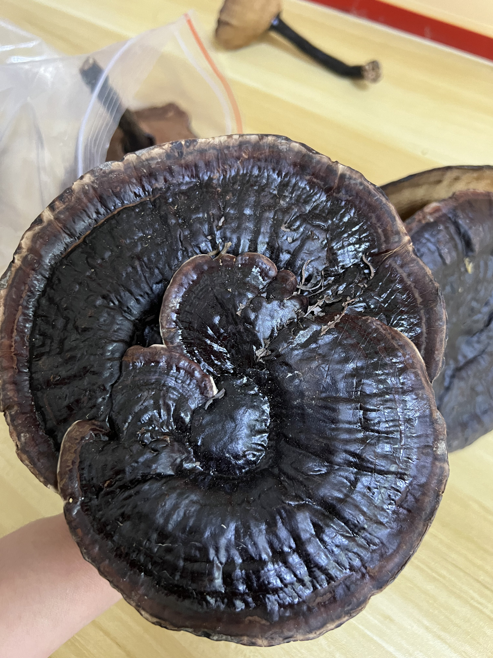 精选芝菇 250g/包