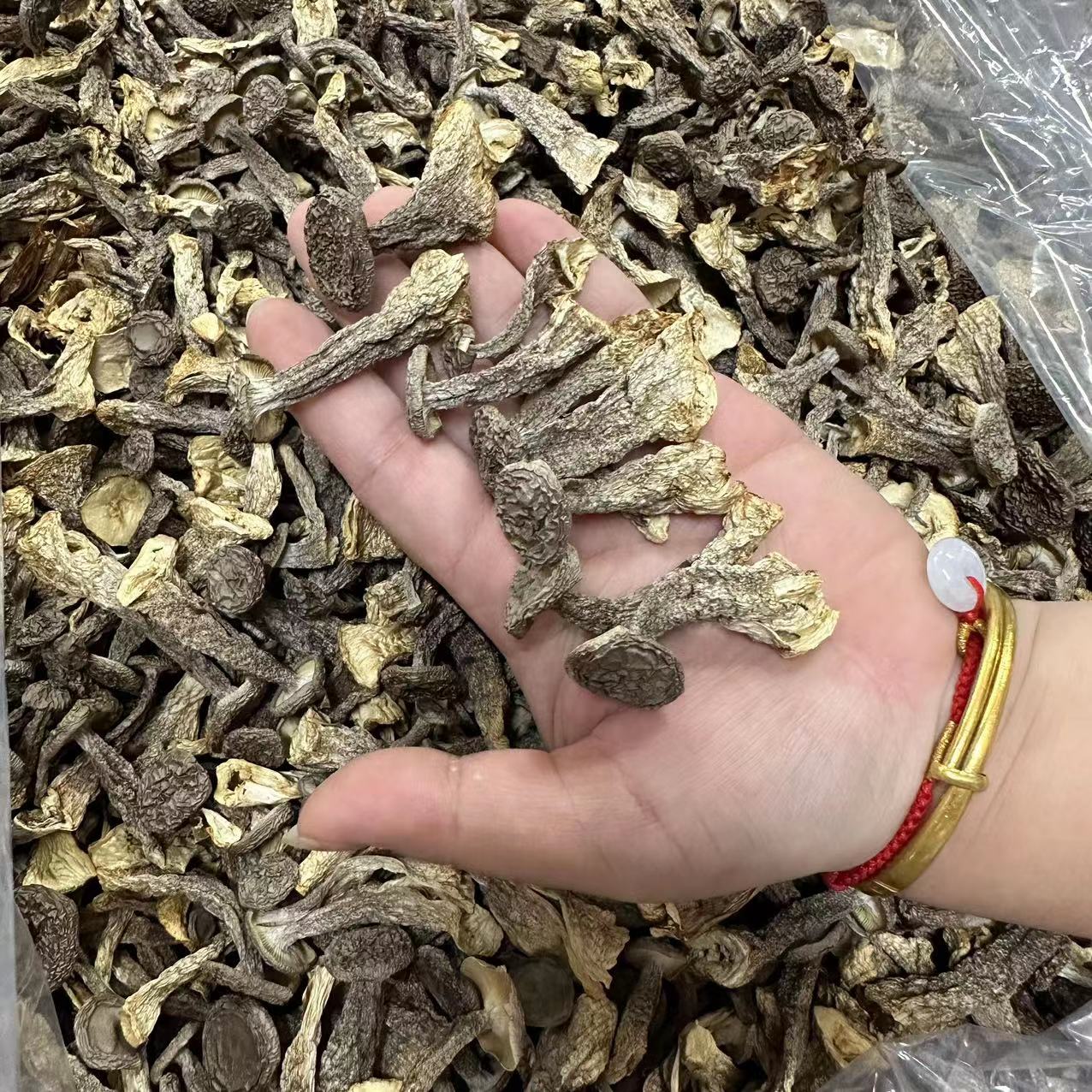 嫩仔脆脆菇 250g