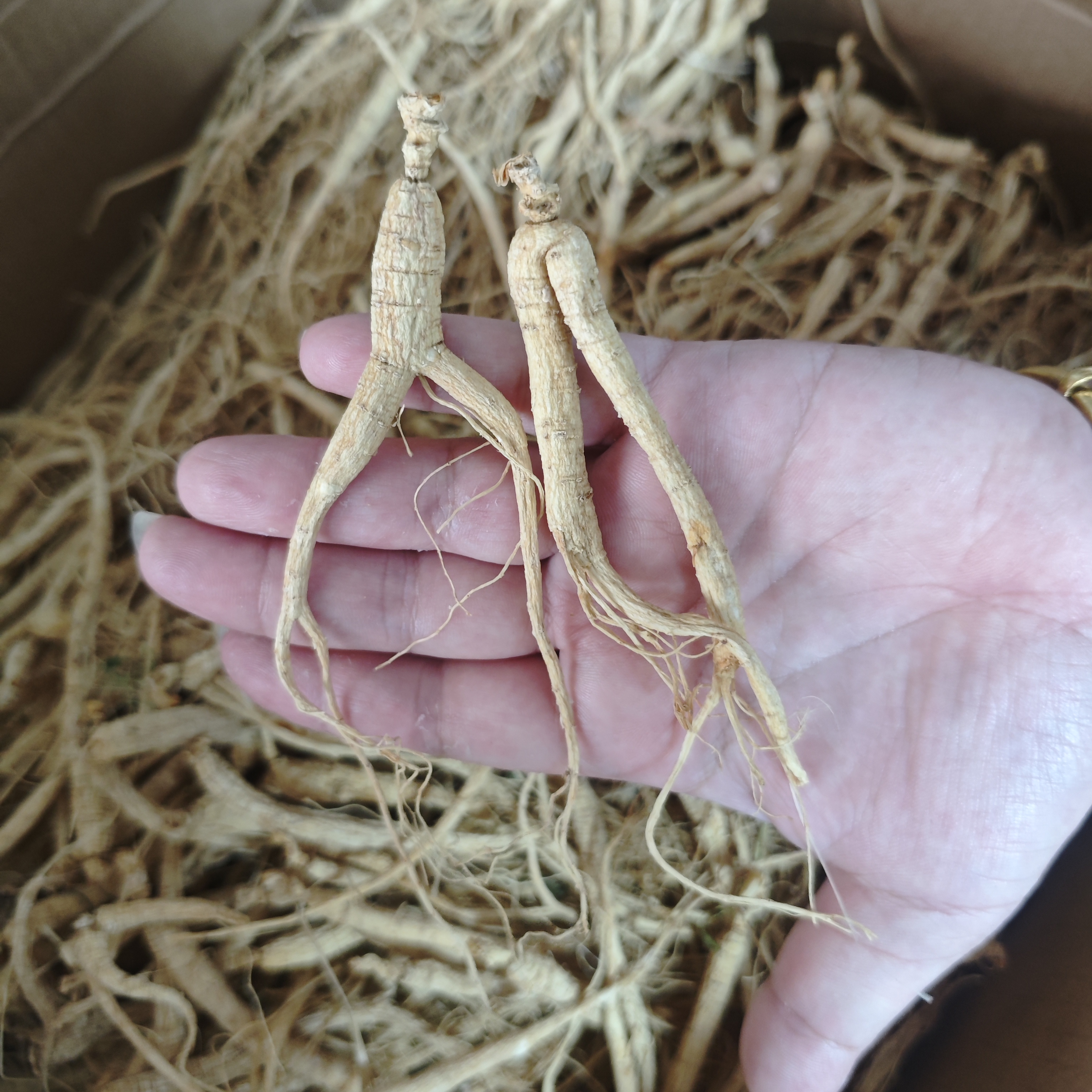 【三三】小人参 250g