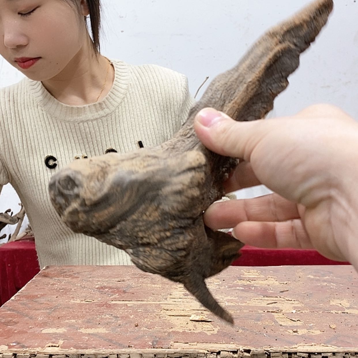 【闪购商品】柏木我**素