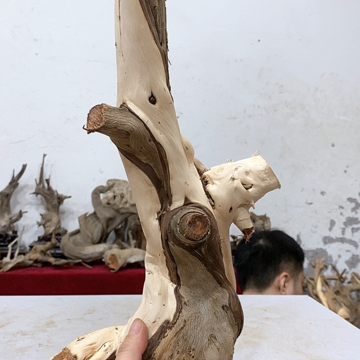 【闪购商品】柏木?****?我们都是好孩子