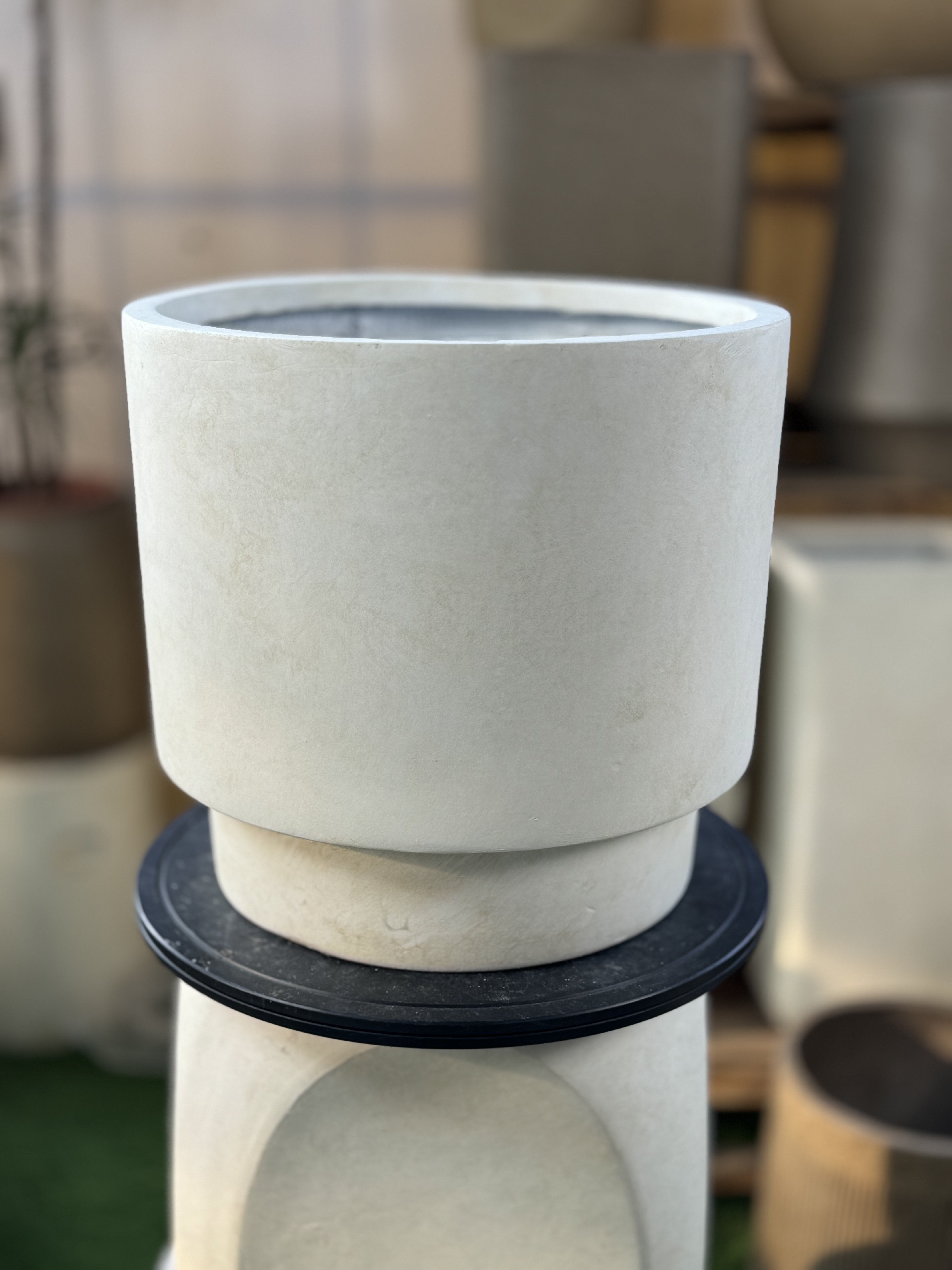 大口径圆柱孔雀木黄金榕盆器
