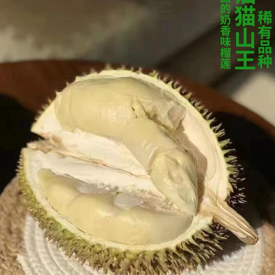 (晨陈)越南奶油猫山王榴莲1.5-8斤核大催熟吃摇晃晃动吃