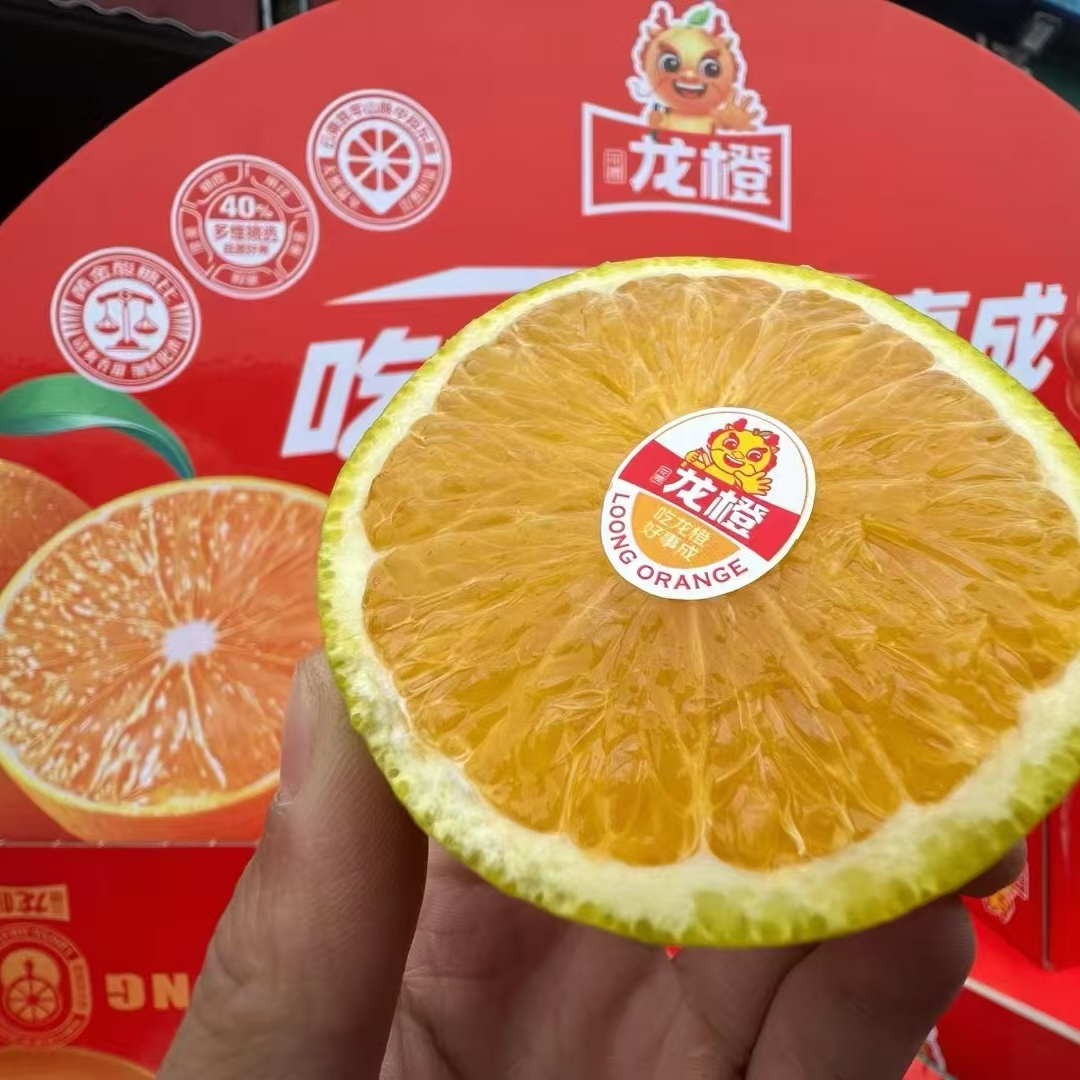 【果叔源选】哀牢山花腰龙橙自然熟冰糖橙4.5斤/9.8斤 顺丰包邮