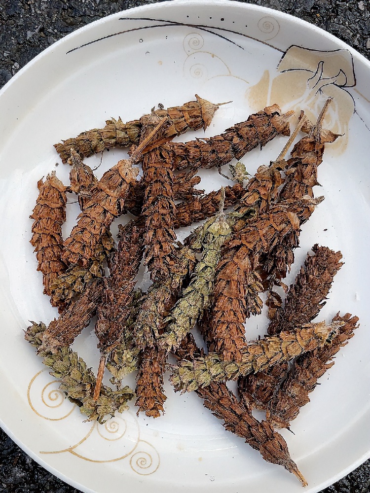 江西夏菇草夏菇球干货150g250g