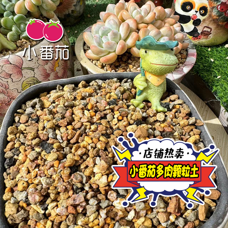 【小番茄自用款多肉颗粒土】保水透气易控型易生根适合多肉植物生长