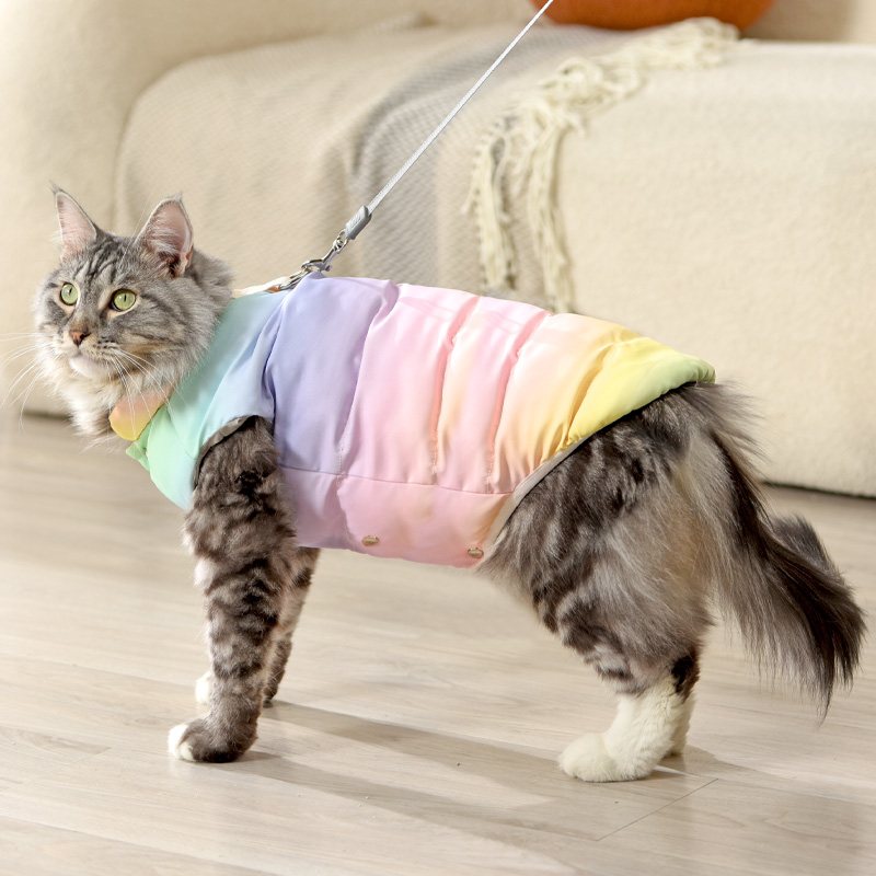猫咪衣服冬季保暖宠物羽绒服小猫布偶英短缅因银渐层猫马甲不粘毛