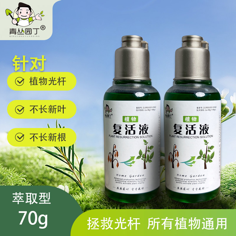 青丛园丁复活液针对植物光杆发黄掉叶生长素快速增强活性吸收2