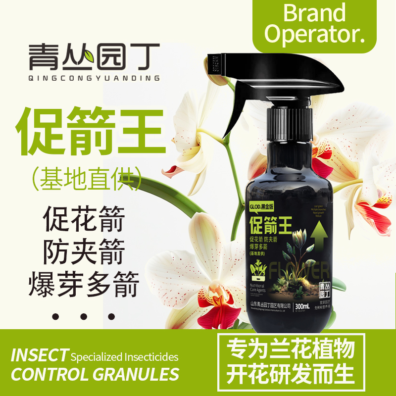 青丛园丁促箭王基地兰花开花专用蝴蝶兰促花箭防夹箭爆芽多箭