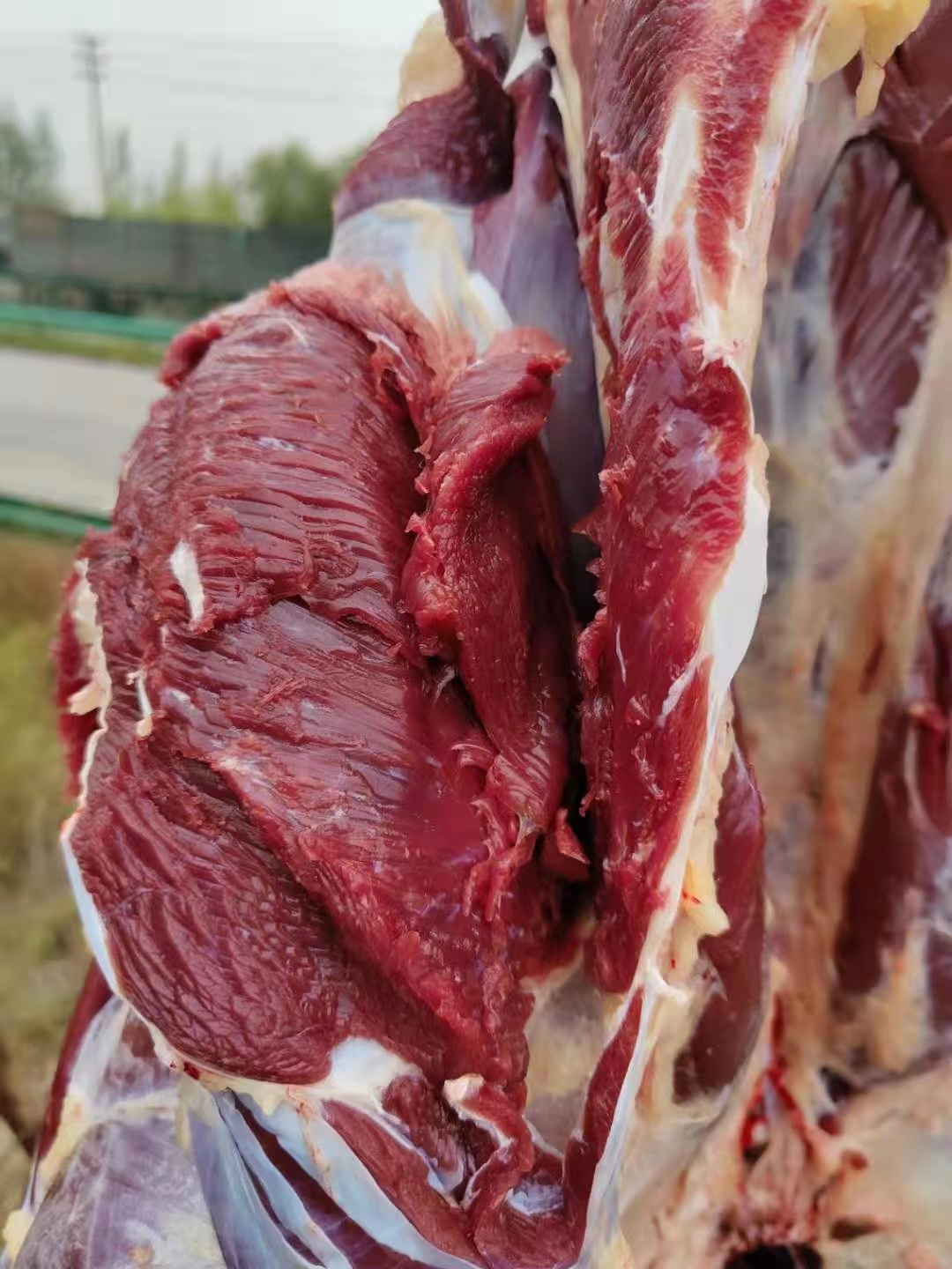 新鲜屠宰鸵鸟纯腿肉养殖基地直供，五斤装十斤装，要礼盒需备注