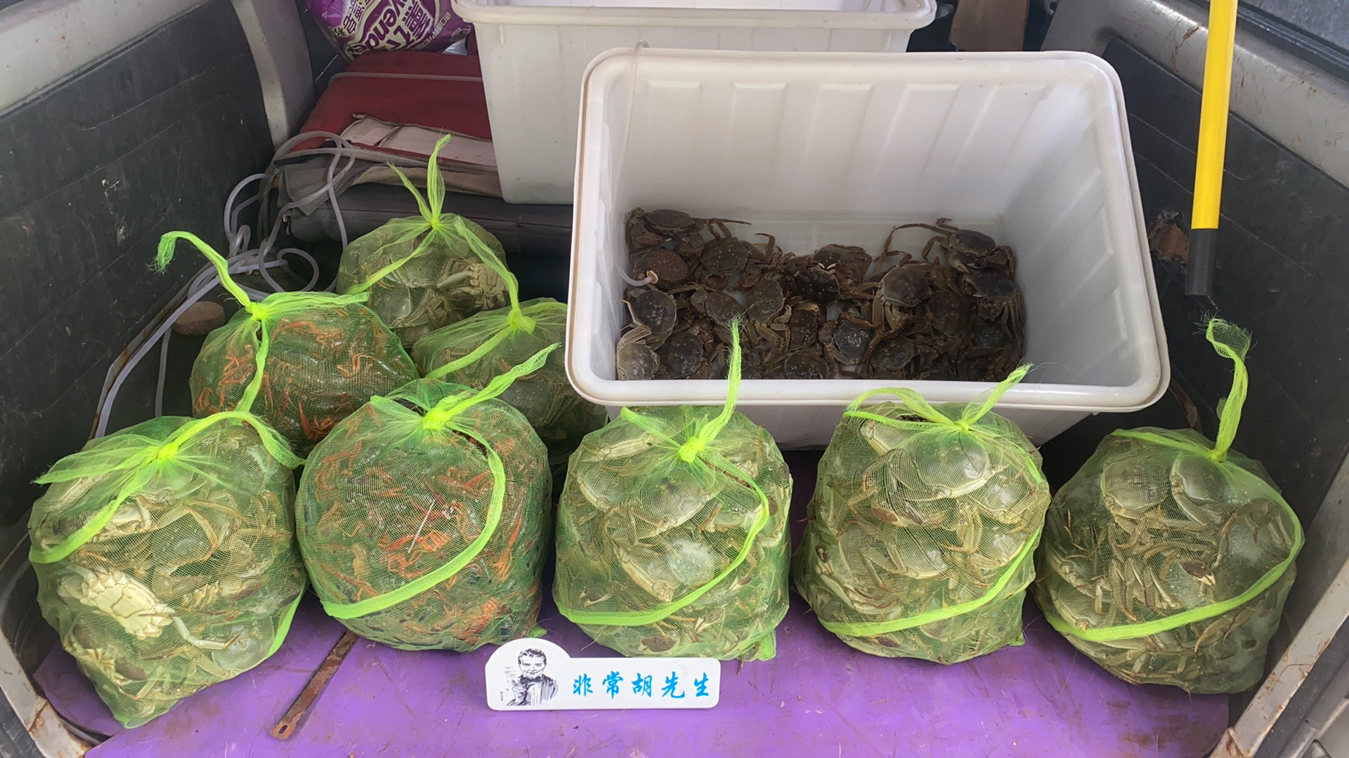 残蟹大闸蟹公母搭配螃蟹3金装10只左右一斤母蟹两斤公蟹共计1500g