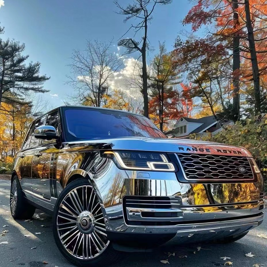 【花鹊路虎系列】揽胜 卫士 发现 星脉 极光 星空脚垫专车定制