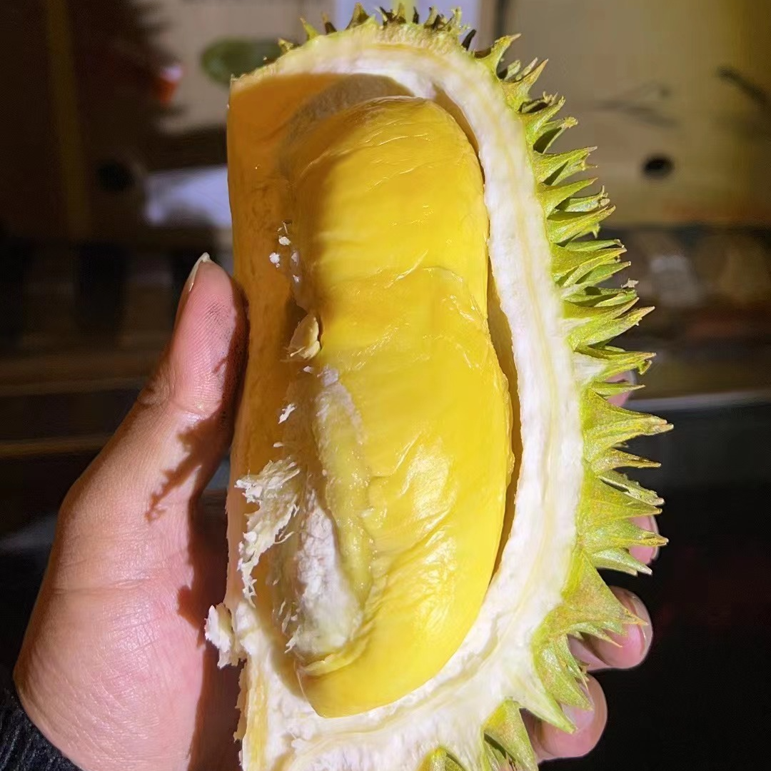 马来西亚D101红肉榴莲树熟猫山王整果随机发奶香绵密同城一小时送达可现场剥肉