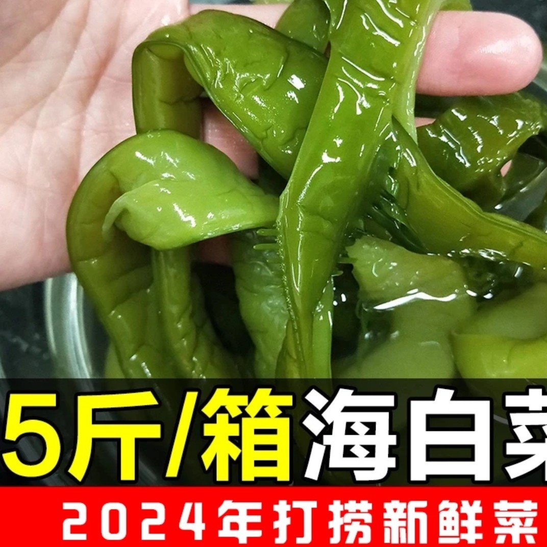 2025年头茬裙带梗（海白菜）盐渍裙带嫩梗，5斤包邮