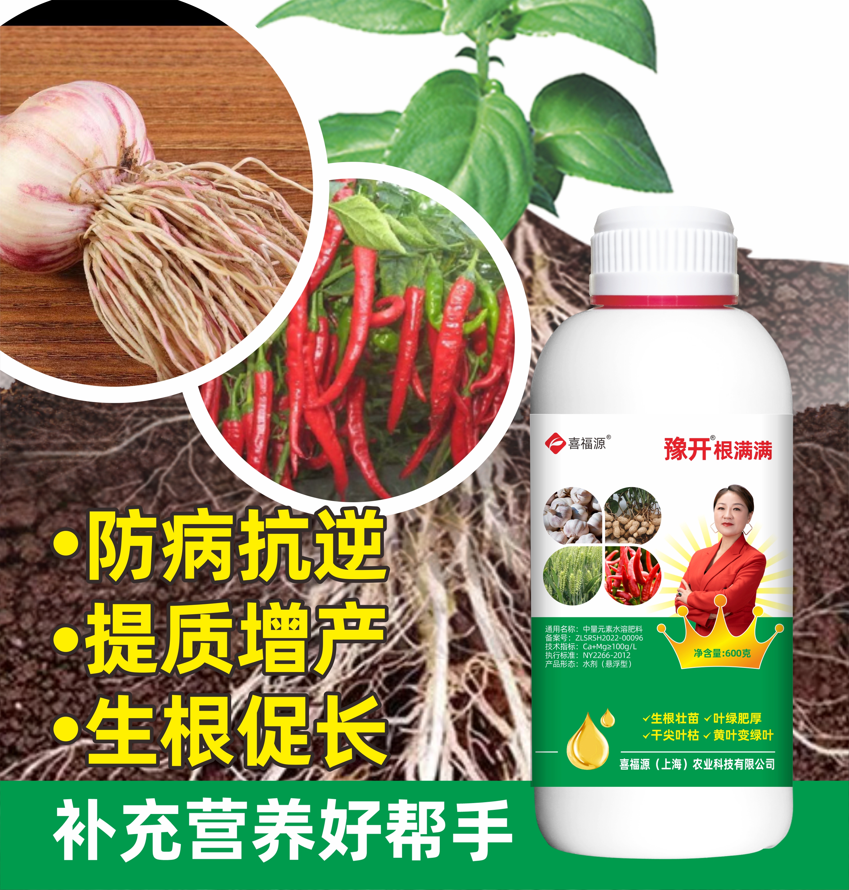 豫开小白瓶，生根营养，苗粗苗壮
